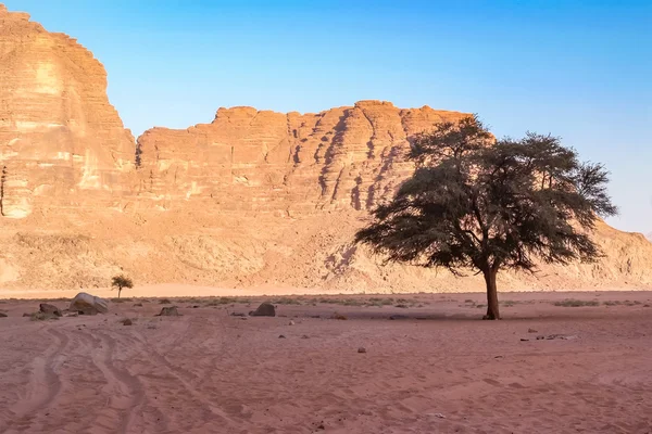 Pustynia w Jordanii — Zdjęcie stockowe