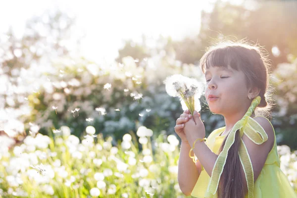 Niña jugando con dientes de león — Foto de Stock