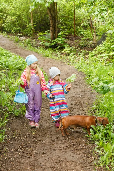 Deux petites sœurs dans le parc . — Photo