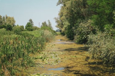 Kopacki Rit 'in kıyısındaki Slavonija ve Baranja' nın büyüleyici yeşil bataklıkları, Hırvatistan 'ın ünlü milli parkı, vahşi hayvanlar ve kuşlar için doğal yaşam alanı