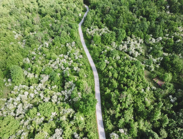 Luftbild Einer Gebogenen Bergstraße Die Durch Erstaunlichen Grünen Wald Führt — Stockfoto