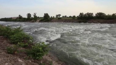 Hırvatistan 'ın Zagreb kenti yakınlarındaki arazi yüksekliği ve güçlü akıntı ve farkından kaynaklanan Sava nehri akıntıları, burada yaşayan ve yuva yapan çeşitli kuşlar için popüler yuva ortamı