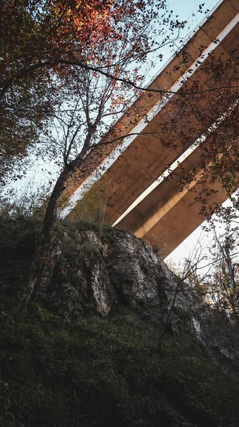 Autostrada Che Passa Sopra Foresta Montagna Del Canyon Kamacnik Nella — Foto Stock