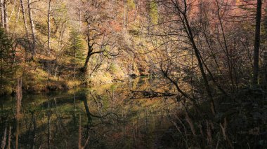 Muhteşem Kamacnik kanyonu Mirna Nehri deresi, Hırvat dağlarının yoğun orman manzarasından sessizce geçiyor