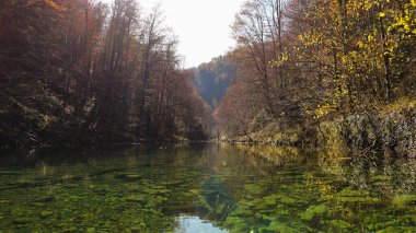 Güzel, yeşil, kristal gibi berrak dağ nehri sonbahar mevsimi boyunca Hırvatistan 'ın Kamacnik Kanyonu' ndaki dağ manzarasından usulca geçiyor.       