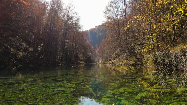 Güzel, yeşil, kristal gibi berrak dağ nehri sonbahar mevsimi boyunca Hırvatistan 'ın Kamacnik Kanyonu' ndaki dağ manzarasından usulca geçiyor.       