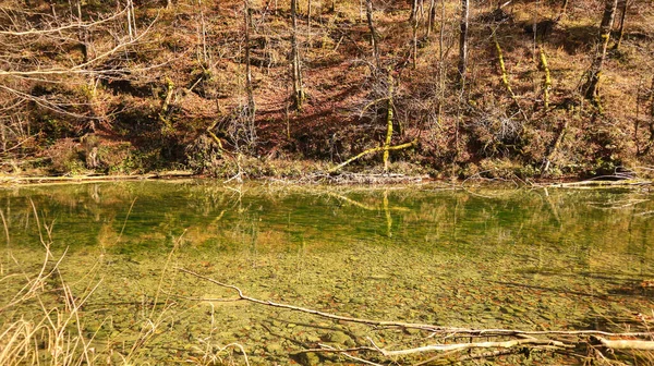 绿晶莹清澈的米尔纳河 秋天悄悄地流过克罗地亚卡马尼克峡谷 — 图库照片