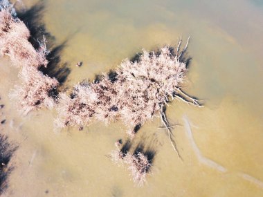 Zagrep 'in Sava nehri yakınlarındaki sığ balıkçılık göletlerinde uçan insansız hava aracı, sularda büyüyen bitki örtüsünü tepeden aşağı gören bir ısıtma tesisini çevreledi.