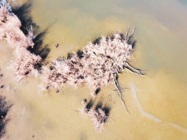 Zagrep 'in Sava nehri yakınlarındaki sığ balıkçılık göletlerinde uçan insansız hava aracı, sularda büyüyen bitki örtüsünü tepeden aşağı gören bir ısıtma tesisini çevreledi.