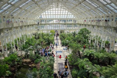 Londra, İngiltere - 11 Ağustos 2018:: Kew Gardens, Londra 'da bulunan beyaz, çelik kirişler ve cam pencerelerden yapılmış tropikal bitki ve ağaçlarla dolu büyük bir sera