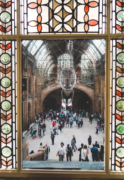Londres Inglaterra Agosto 2018 Famosa Sala Del Museo Ciencias Naturales — Foto de Stock