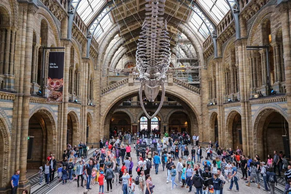 Londres Inglaterra Agosto 2018 Famosa Sala Del Museo Ciencias Naturales — Foto de Stock