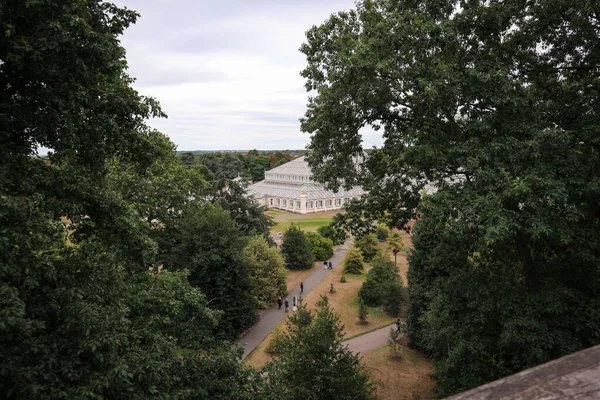 London Anglia Augusztus 2018 Kew Gardens Üvegházak Fényképezett Skywalk Között — Stock Fotó