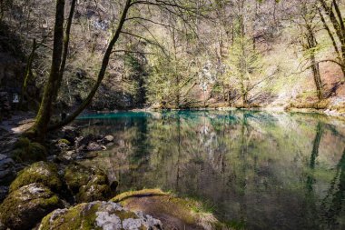 Hırvatistan 'daki Risnjak ulusal parkının dağları ve ormanlarının derinliklerinde yer alan Kupa Nehri pınarındaki turkuaz rengi şaşırtıcı kristal berraklığında su