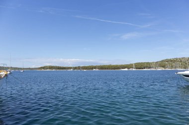 Rogoznica, Hırvatistan-26 Temmuz 2021: Hırvatistan 'ın popüler Rogoznica kentinde yoğun, yeşil, çam ormanlarıyla kaplı güzel yarımada