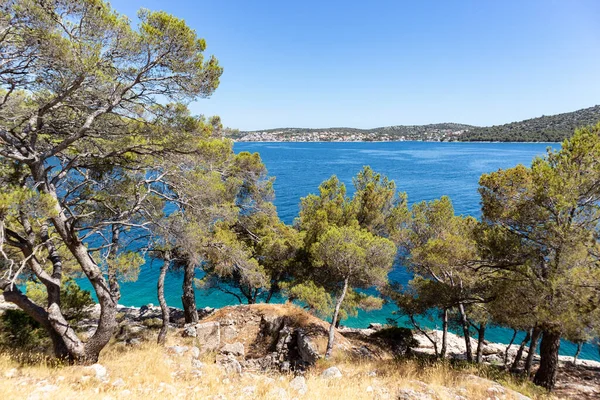 Magnificent Dalmatian Symbol Blue Adriatic Sea Green Pine Forest Sound — Stock Photo, Image