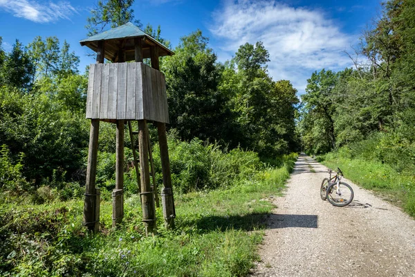 Turopoljski Lug Kroatien Augusti 2021 Cykla Runt Tät Turopolje Skog Royaltyfria Stockfoton