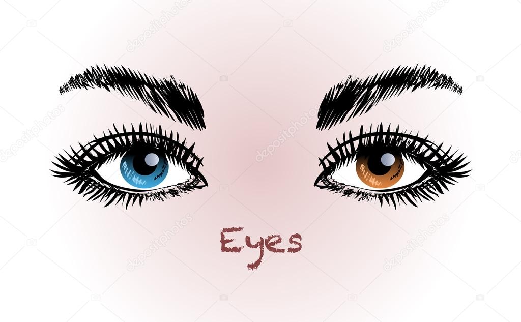 human eyes and eyebrows