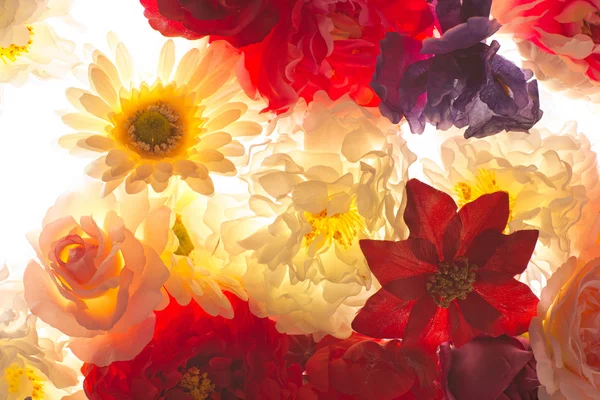 Renkli çiçek ve yaprakları — Stok fotoğraf