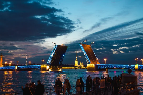 Saint-Petersburg, Rusya Federasyonu gece Palace bridge görünümünü.