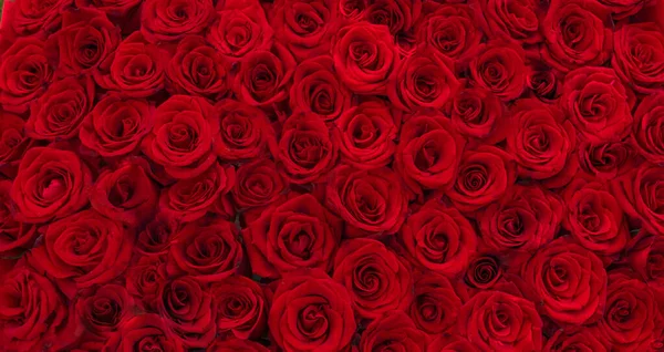 Fondo Ramos Flores Rosas Rojas Diseño Día San Valentín Vista —  Fotos de Stock