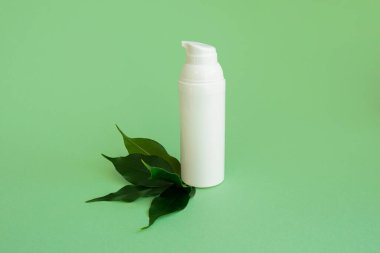 Yeşil arka planda bir şişe yüz kremi ve çay yaprakları. Boşluğu kopyala