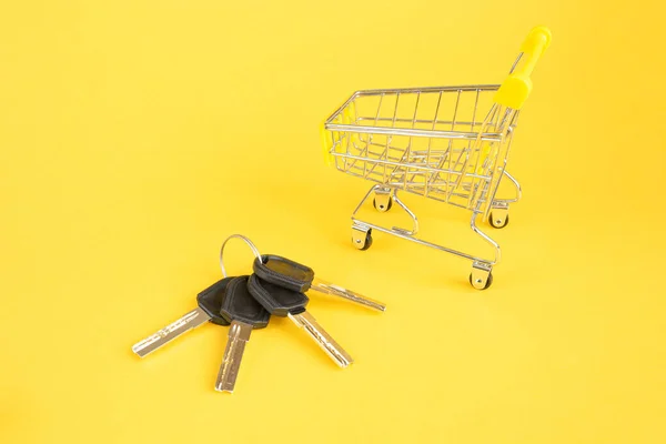 Mini Basket Keys Foreground Bright Yellow Background Concept Buying Renting — Stok fotoğraf