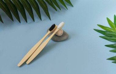 Taşların üzerinde beyaz ve siyah tüyleri ve mavi arka planda tropikal yaprakları olan doğal bambu diş fırçaları. Çevre dostu diş fırçası kavramı doğaya zarar vermez. Metin için alanı kopyala