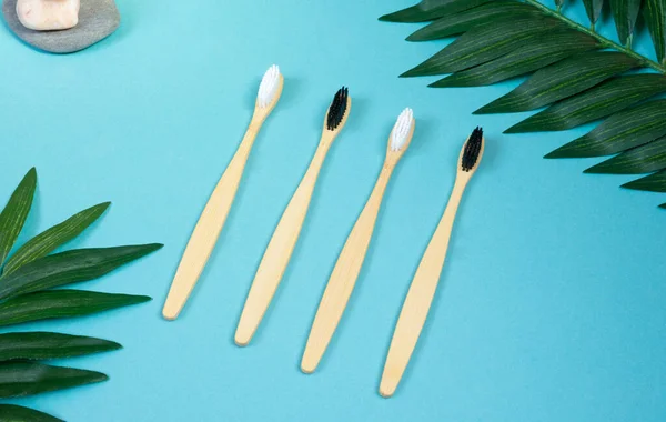 Tüm aile için dört ahşap bambu diş fırçasından oluşan aile seti mavi arka planda, yeşil yapraklar ve taşların yanında. Doğal organik banyo güzellik ürünü konsepti. Düz konum, üst görünüm, kopyalama alanı