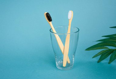 Cam bir camda doğal siyah beyaz tüyleri olan iki bambu diş fırçası ve mavi arka planda bir palmiye yaprağı. Çevre dostu bir evde banyo aksesuarları. Sıfır. metin için boşluk kopyala