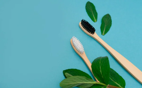 Two Bamboo Toothbrushes Next Green Mint Leaves Blue Background Concept — Stock Photo, Image