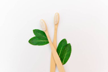 Beyaz arka planda iki bambu diş fırçası ve tilki nanesi. Çevre dostu diş temizliği kavramları. Ağzının şeridine dikkat et. Çevre dostu. Üst Manzara. Düz yatıyordu