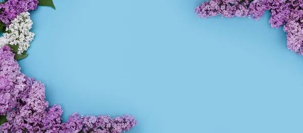 Spring purple flowers of lilac on a blue background. Delicate floral romantic layout for design. Spring tender wide banner with blooming lilac branches and copy space for text, top view, Banner mockup