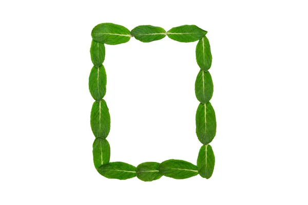 Творческая Минимальная Концепция Рамка Зеленых Листьев Мяты Белом Изолированном Фоне — стоковое фото