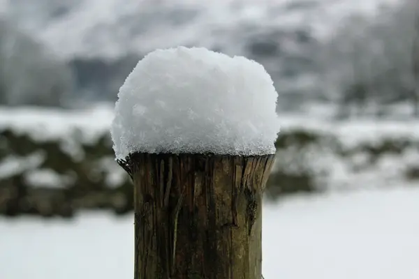 Pólo de neve — Fotografia de Stock