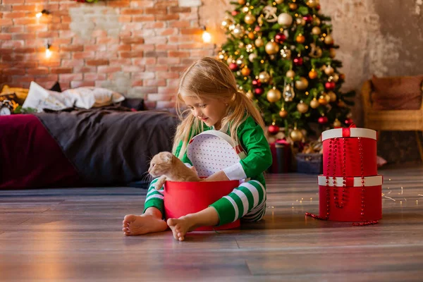 Menina Bonito Pijama Perto Árvore Natal Puxa Para Fora Gatinho — Fotografia de Stock