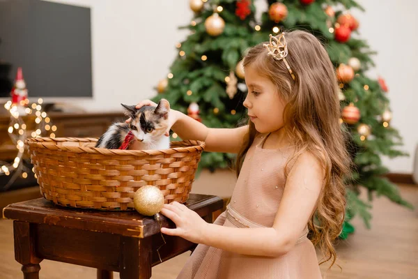 Menina Bonito Recebido Como Gatinho Presente Para Ano Novo — Fotografia de Stock