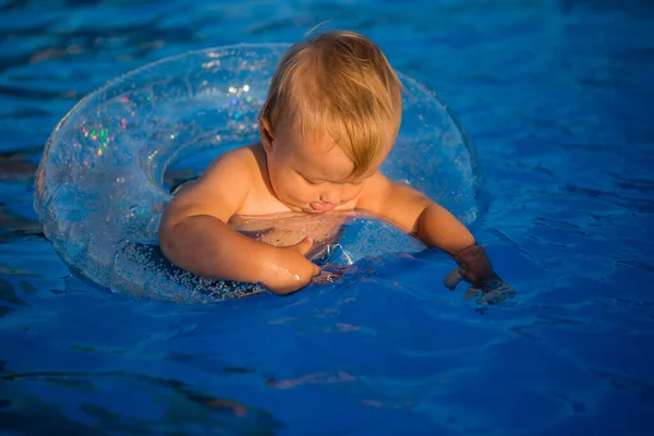 Lindo Niño Nadando Piscina Círculo Natación —  Fotos de Stock