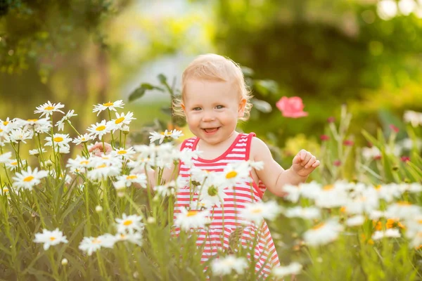 Entzückendes Kleinkind Das Umgeben Von Blühenden Gänseblümchen Steht Und Lächelt — Stockfoto