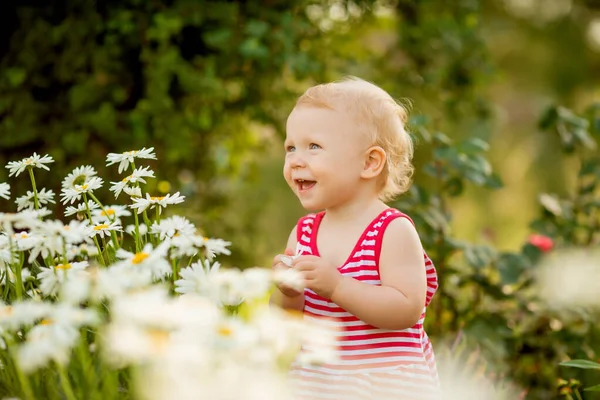可爱的蹒跚学步的小女孩 站在绽放的雏菊和微笑的簇拥着 — 图库照片