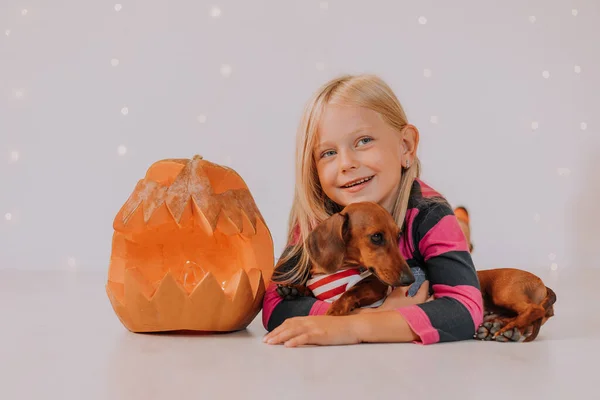 Blond Flicka Orange Strumpor Och Randig Jacka Med Dvärg Dachshund — Stockfoto