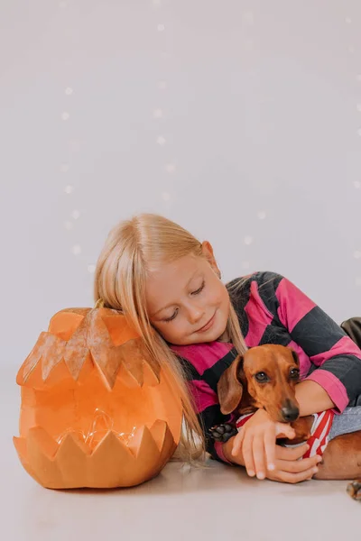 Blond Flicka Orange Strumpor Och Randig Jacka Med Dvärg Dachshund — Stockfoto