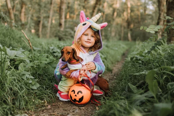 Kleine Lachende Meid Een Dwerg Teckel Halloween Kostuums Met Een — Stockfoto