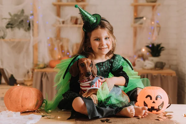 カーニバルの女の子ハロウィンの衣装とダックスフントキッチンに座っている カボチャの提灯ジャック お菓子のバスケット トリックまたは治療 ロイヤリティフリーのストック画像
