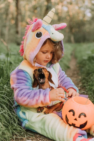 小さな笑いの女の子と屋外でお菓子のためのカボチャのバスケットとハロウィンの衣装で小人ダックスフント レインボーユニコーンの女の子キグルミの衣装 フルスカートのドレスの犬 ストック画像