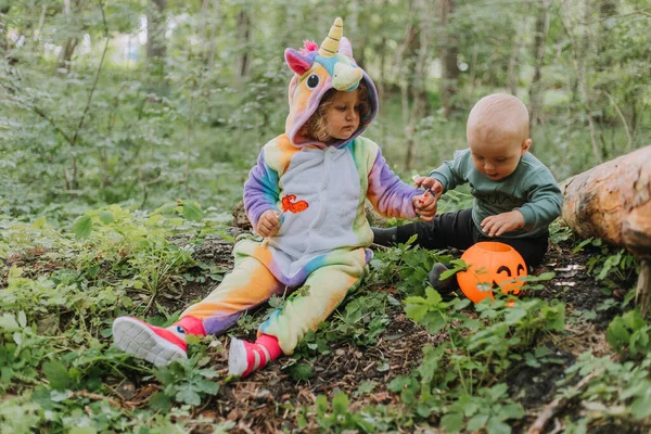 虹色のユニコーンの衣装を着た少女菊水は 森を背景にお菓子のための弟とカボチャのバスケットと公園に座っています ハロウィンのコンセプト ロイヤリティフリーのストック写真
