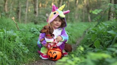 Gülen küçük bir kız ve cadılar bayramı kostümlü bir cüce dachshund açık hava şekerleri için balkabağı sepeti. Gökkuşağı tek boynuzlu atı olan Kigurumi kostümlü kız, etekli bir köpek..