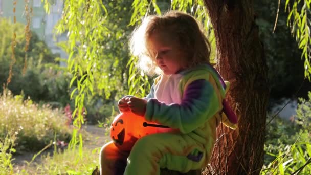 虹色のユニコーンの衣装を着た少女菊水は 森を背景にお菓子のためのカボチャのバスケットを持つ木の上に座っています ハロウィンのコンセプト — ストック動画
