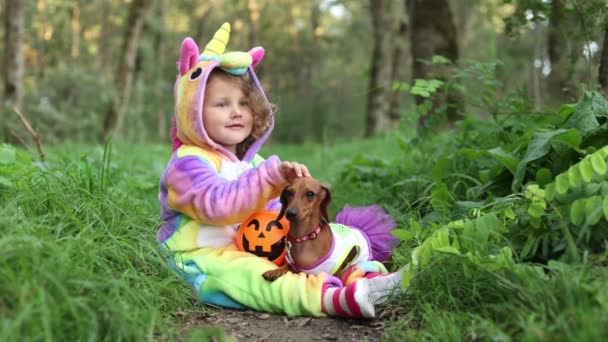 小さな笑いの女の子と屋外でお菓子のためのカボチャのバスケットとハロウィンの衣装で小人ダックスフント レインボーユニコーンの女の子キグルミの衣装 フルスカートのドレスの犬 — ストック動画