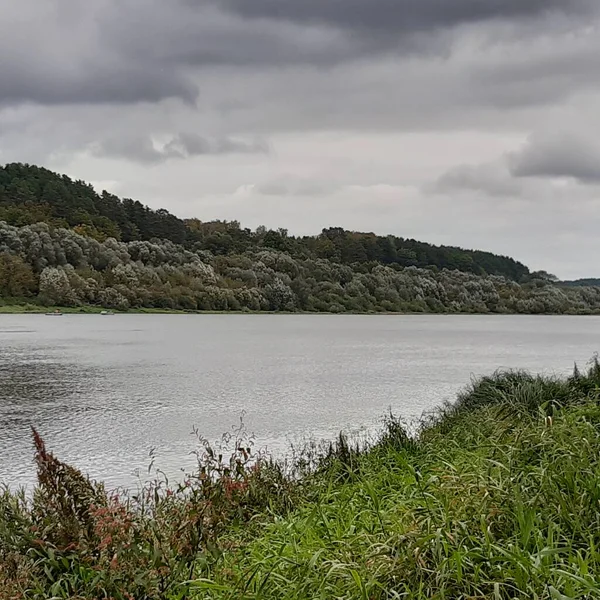 Ein Fluss Der Zwischen Büschen Fließt — Stockfoto